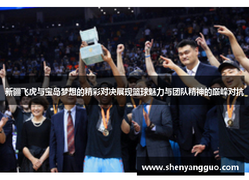 新疆飞虎与宝岛梦想的精彩对决展现篮球魅力与团队精神的巅峰对抗
